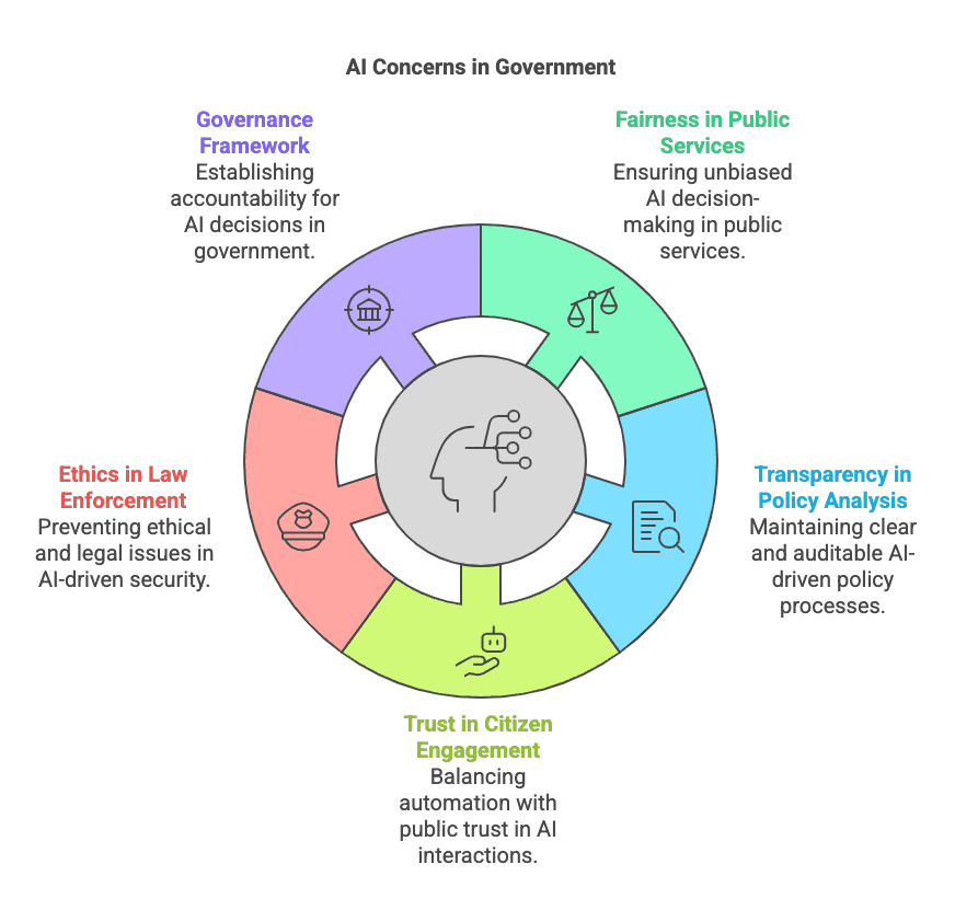 AI Risks in Public Sector Decision-Making